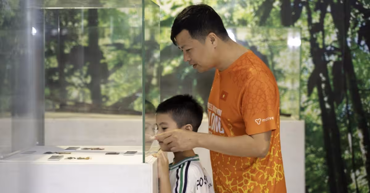Trải nghiệm Bảo tàng đêm Quảng Ninh: Hành trình di sản đầy mê hoặc
