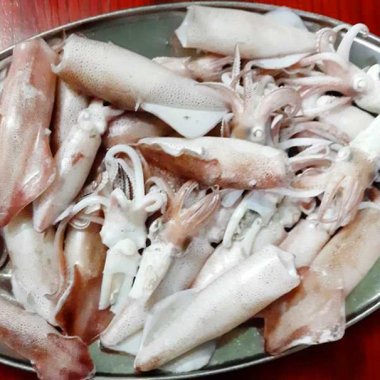 Mực ống Minh Châu: Tinh hoa ẩm thực và trải nghiệm câu mực đêm khó quên