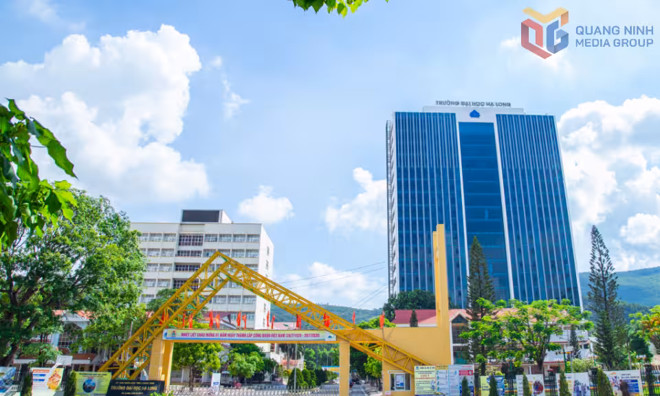 Trường Đại học Hạ Long công bố ngưỡng điểm sàn xét tuyển đại học 2026