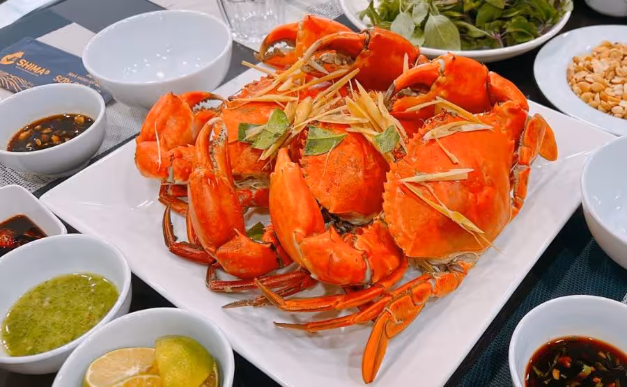 Nhà hàng Sơn Đoòng Hạ Long: Trải nghiệm ẩm thực tinh hoa giữa lòng di sản