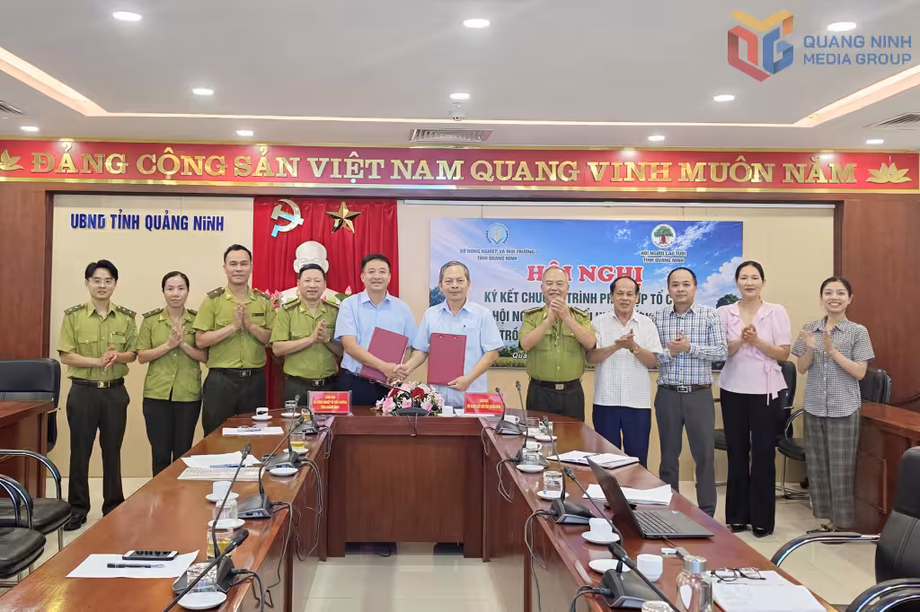 Người cao tuổi Quảng Ninh chung tay trồng cây xanh vì tương lai bền vững