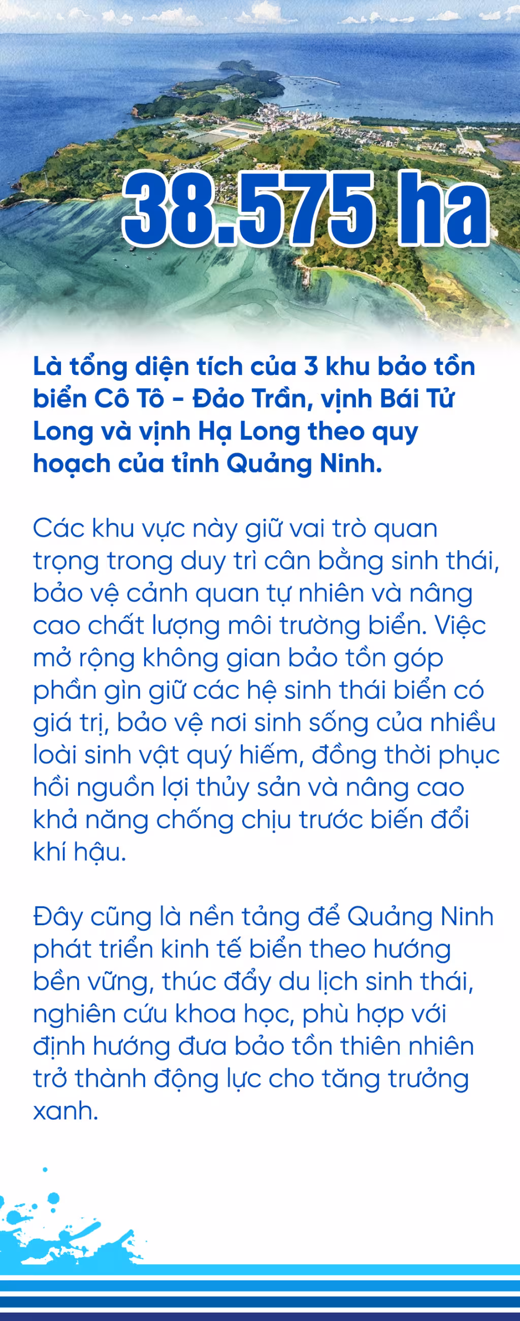 Quy hoạch 38.575 ha bảo tồn biển tại Quảng Ninh: Lá chắn xanh của di sản