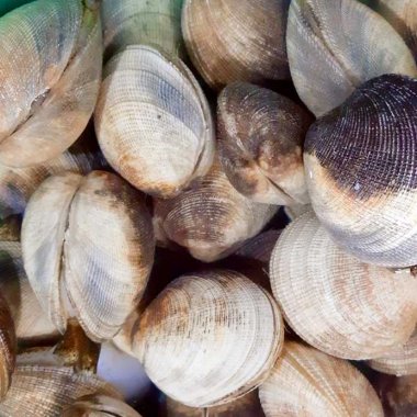 Cháo Thưng Quảng Ninh: Đặc Sản Trứ Danh Đậm Đà Hương Vị Biển Hạ Long