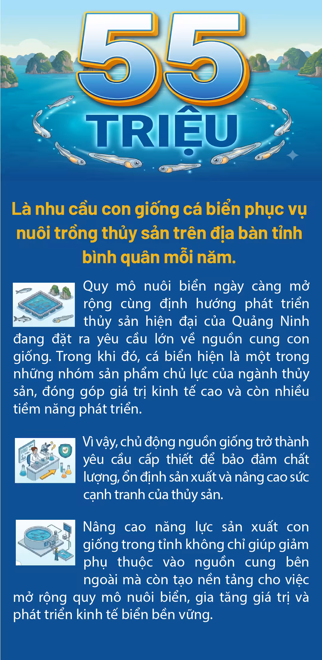 Nhu cầu con giống cá biển tại Quảng Ninh: Tiềm năng và thách thức phát triển