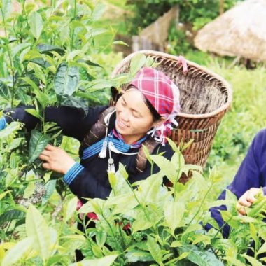 Sức Mạnh Của Mạng Xã Hội Trong Quảng Bá Du Lịch: Khi Mỗi Người Dân Là Một Đại Sứ Thương Hiệu