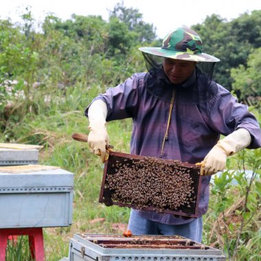 Tinh hoa mật ong rừng Bình Liêu: Đặc sản OCOP chất lượng cao