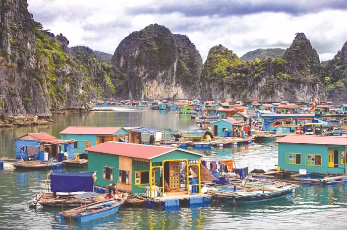 Làng Chài Cửa Vạn: Hành Trình Khám Phá Văn Hóa Biển Cho Cả Gia Đình