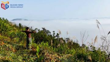 Kỳ Thượng - Điểm đến săn mây đầy mê hoặc giữa đại ngàn Quảng Ninh